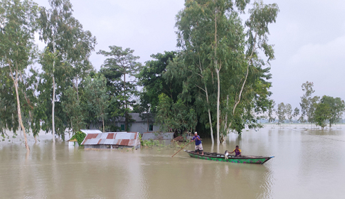 কুড়িগ্রামে দুই নদীর পানি বিপৎসীমার ওপরে, পানিবন্দি ১৫ হাজার মানুষ