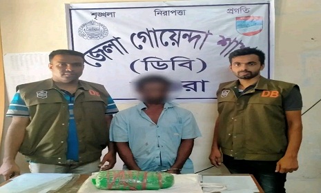 মাগুরায় গাঁজাসহ মাদক ব্যবসায়ী আটক
