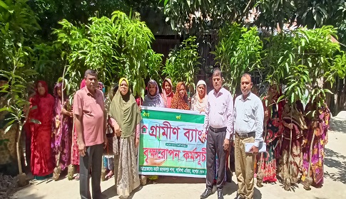 নহাটায় গ্রামীণ ব্যাংকের বৃক্ষরোপণ কর্মসূচী সম্পন্ন