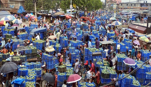 সাপাহারে শেষ মুহূর্তে জমে উঠেছে আমের বাজার