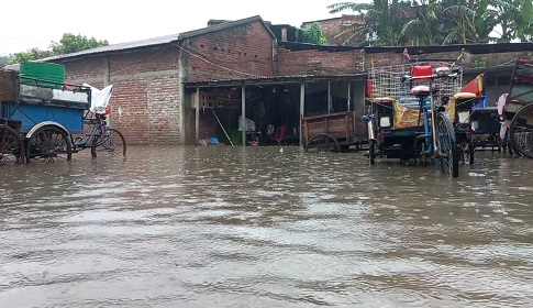 নওগাঁয় টানা বৃষ্টিপাত, বিপাকে খেটে খাওয়া মানুষ