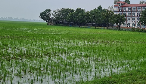 নওগাঁয় আদালতের নির্দেশ অমান্য করে জমি দখলের অভিযোগ