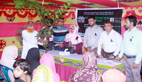 পলাশবাড়ীতে বিজের উদ্যোগে ১২শ ফলদ চারা বিতরণ