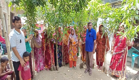 মহম্মদপুরে শোক দিবস উপলক্ষে গ্রামীণ ব্যাংকের গাছের চারা রোপন