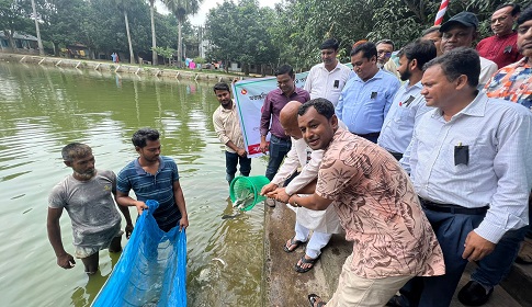 ধামইরহাটে প্রাতিষ্ঠানিক ও উন্মুক্ত বিলে মাছের পোনা অবমুক্ত