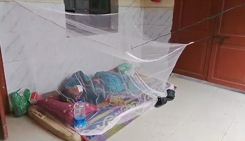 ঝিনাইদহে বেড়েছে ডেঙ্গুর প্রকোপ