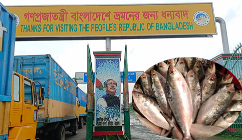 ১০ ডলার কেজি দরে ৪৫ টন ইলিশ গেল ভারতে