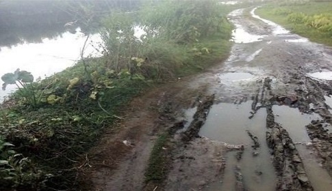 কালিয়াকৈরে মাছের খামারে নষ্ট হচ্ছে সড়ক