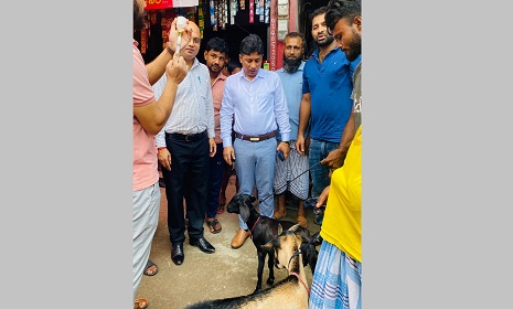 গোপালগঞ্জ সদর উপজেলায় পিপিআর টিকা প্রদান ক্যাম্পেইনের উদ্বোধন