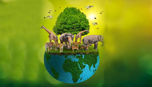 প্রাণীবান্ধব সমাজ বিনির্মাণে আমাদের করণীয় 
