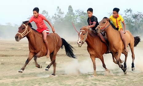 রাজৈরে ঐতিহ্যবাহী ঘোড়দৌড় অনুষ্ঠিত