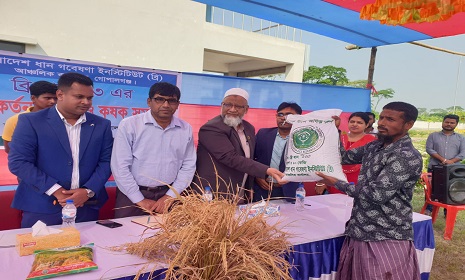 গোপালগঞ্জসহ ৩ জেলায় ধান বীজ বিতরণ