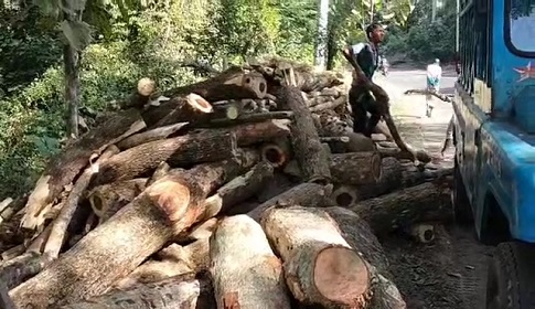 ইটভাটায় পুড়ছে বনের কাঠ, প্রশাসনের হস্তক্ষেপ চায় পরিবেশবাদীরা