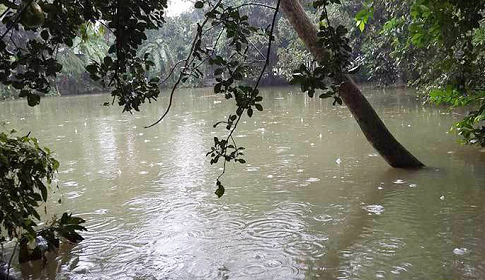 ৩ ডিগ্রি পর্যন্ত কমবে রাতের তাপমাত্রা, বাড়বে দিনের