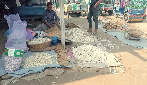 ঠাকুরগাঁওয়ে কাঁচামাল আড়তেই নেই পেঁয়াজ