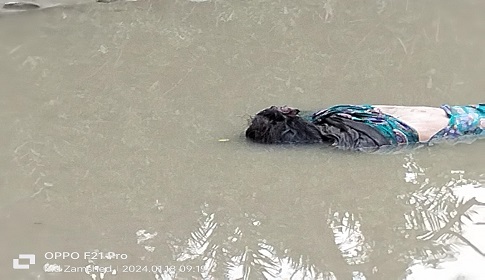 সুবর্ণচরে গৃহবধূকে হত্যা, খাল থেকে লাশ উদ্ধার