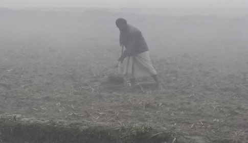 হিমেল হাওয়ায় কাবু কুড়িগ্রামের মানুষ