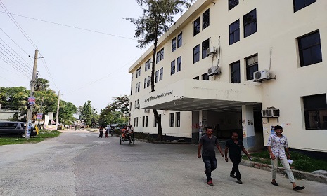 গোপালগঞ্জে দেবরের লাঠির আঘাতে ভাবী নিহত