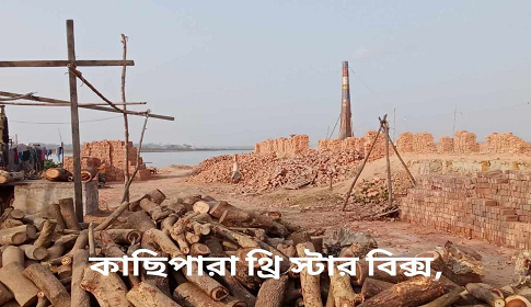 পটুয়াখালীর বাউফলে ইটভাটায় পোড়ানো হচ্ছে কাঠ