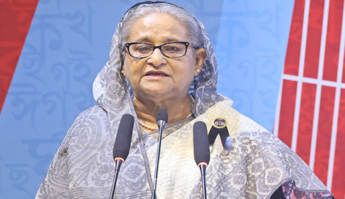 ‘মাতৃভাষায় শিক্ষা নিলে জানা-বোঝা সহজ হয়’