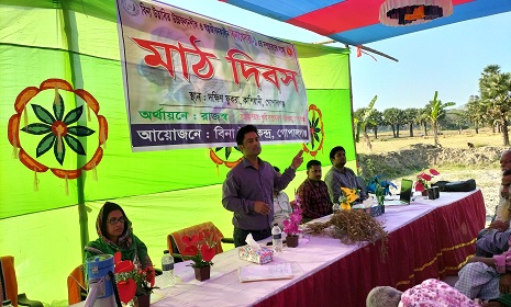 গোপালগঞ্জে বিনা খেসারী-১ চাষাবাদ সম্প্রসারণে মাঠ দিবস 