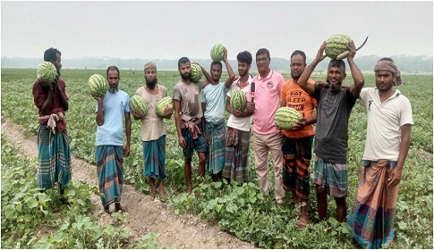 দুমকীতে তরমুজের বাম্পার ফলন, কৃষকের মুখে হাসি