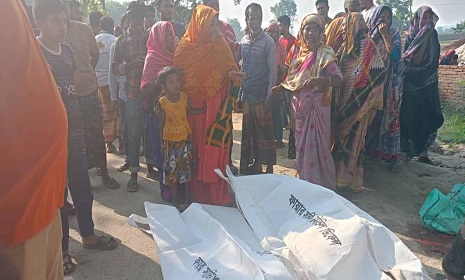 মেহেরপুরে ট্রাকচাপায় দুই সাইকেল আরোহী নিহত