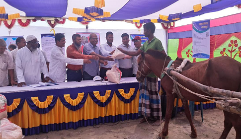 কুড়িগ্রামে ঈদ উপহার পেল ঘোড়া ও ঘোড়ার চালকরা