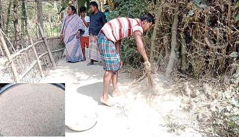 দিনাজপুরে বাঁশফলের দানার ভাত খাচ্ছে মানুষ!