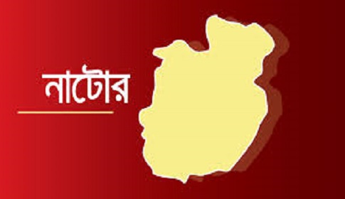 বড়াইগ্রামে হিট স্ট্রোকে কৃষকের মৃত্যু