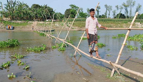 বাঁশের সাঁকোই ভরসা ৫ গ্রামের মানুষের