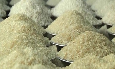 ভারত থেকে চাল আমদানি বন্ধ