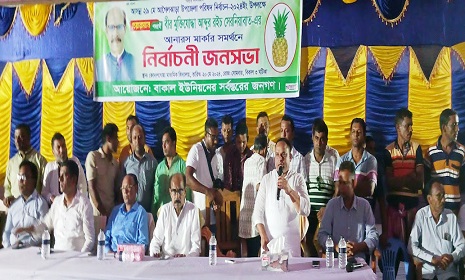 আগৈলঝাড়ায় আনারস প্রতীকের নির্বাচনী জনসভায় মানুষের ঢল