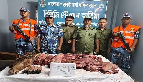 হাতিয়ায় ৩০ কেজি হরিণের মাংস জব্দ