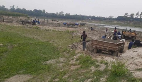 পলাশবাড়ীর আমবাগানে আবারো বেপরোয়া বালু ও মাটি ব্যবসায়ীরা