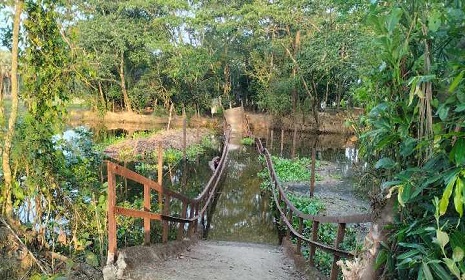 বরগুনায় সেতু ধ্বসে ভোগান্তিতে ৪ গ্রামের মানুষসহ শতাধিক শিক্ষার্থীরা