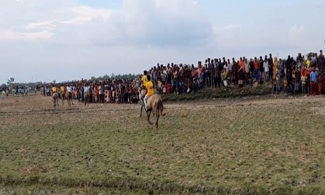 কালিগঞ্জের উকশায় লক্ষ দর্শকের উপস্থিতিতে ঘৌড়দৌড়