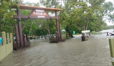 জলোচ্ছ্বাসে তলিয়ে গেছে সুন্দরবন, বাগেরহাটে প্লাবিত শতাধিক গ্রাম 
