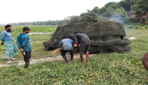 শৈলকুপায় অবৈধ চায়না দুয়ারি জাল ধ্বংস
