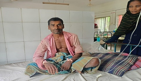 রাজবাড়ীতে রাসেল ভাইপারের কামড়ে কৃষক হাসপাতালে