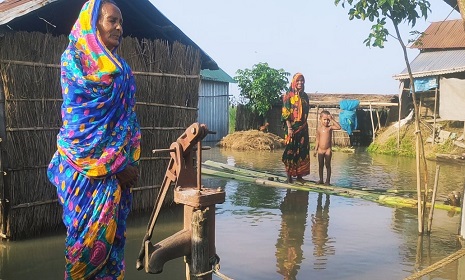 বন্যায় ডুবে আছে চর বালা ডোবা, দেখার কেউ নেই
