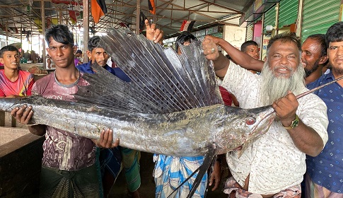 নোয়াখালীতে মেঘনায় ধরা পড়ল ২ পাখি মাছ