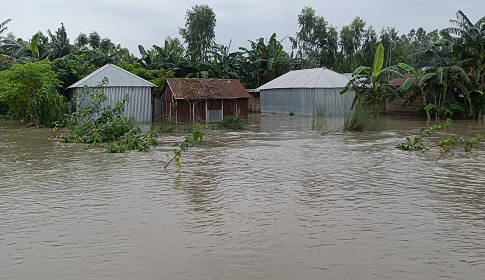 কুড়িগ্রামে ৩ নদীর পানি বিপৎসীমার ওপরে