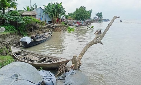 পদ্মাপাড়ে বেড়িবাঁধের জন্য হাহাকার