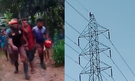 ১৩২ কেভির বিদ্যুতের টাওয়ারের চুড়ায় যুবক, চরম উৎকন্ঠায় জীবিত উদ্ধার!