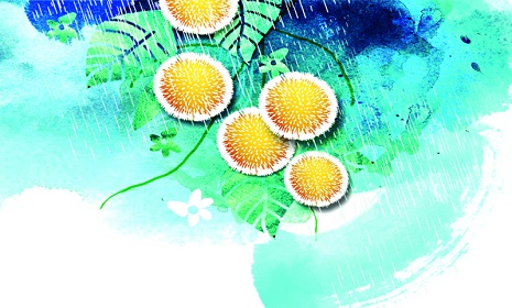 বর্ষা