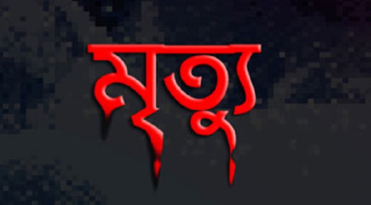 রাজবাড়ীতে পানির পাম্প থেকে বিদ্যুৎস্পৃর্ষে ১ জনের মৃত্যু
