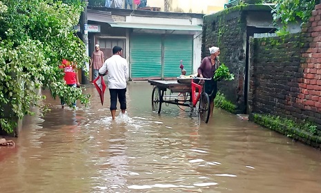 চাঁদপুরে বাড়ছে নদীর পানি, ৭১ মিলিমিটার বৃষ্টিপাত রেকর্ড