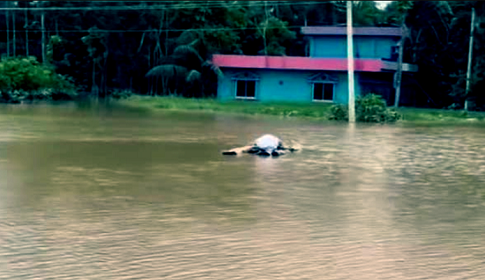 দেশে চলমান বন্যায় ৩১ জনের মৃত্যু
