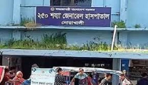 নোয়াখালীতে সাপের কামড়ে আহত ২৫৫ জন